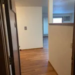 Rent 1 bedroom apartment in Bloomington