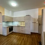 Rent 1 bedroom apartment in Ústí nad Orlicí