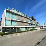 Rent 2 bedroom apartment in Brugge Assebroek