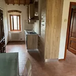 Rent 1 bedroom apartment of 60 m² in Firenze