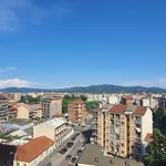 Rent 2 bedroom apartment of 70 m² in Turin