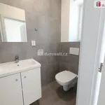 Rent 1 bedroom house of 112 m² in Tuhaň