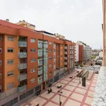 Alquilo 1 dormitorio apartamento de 40 m² en Murcia