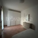 Rent 3 bedroom apartment of 80 m² in Rovigo