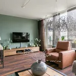 Rent 1 bedroom apartment of 75 m² in Hoogvliet Rotterdam