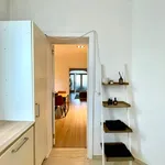 Rent 1 bedroom apartment in Antwerpen