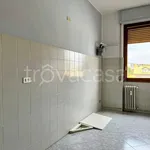 Rent 2 bedroom apartment of 80 m² in Brugherio