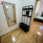 Rent 2 bedroom apartment of 65 m² in zizkov