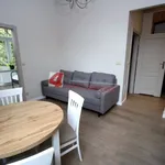 Rent 2 bedroom apartment of 37 m² in Tarnów