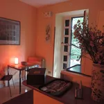 Rent 1 bedroom apartment in Rome