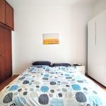 Rent 1 bedroom apartment in Milan