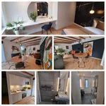 Rent 1 bedroom apartment of 538 m² in Dusseldorf