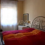 Rent 2 bedroom apartment of 40 m² in Torino