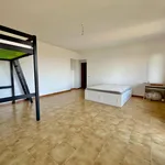 Rent 5 bedroom house of 205 m² in Aramengo