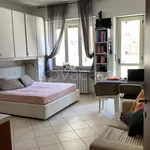 Rent 1 bedroom apartment of 35 m² in Torino