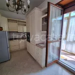 Rent 3 bedroom apartment of 75 m² in Torino