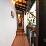 Alquilo 6 dormitorio apartamento de 148 m² en Seville