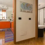 Rent 1 bedroom apartment in Milan