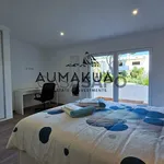 Rent 4 bedroom house in Loulé