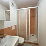 Pronajměte si 1 ložnic/e byt o rozloze 20 m² v Pilsen