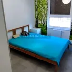 Rent 2 bedroom apartment of 36 m² in Wrocław