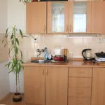 Rent 1 bedroom apartment of 22 m² in Ústí nad Labem