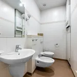 Rent 4 bedroom apartment of 150 m² in Prague