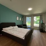 Rent 1 bedroom apartment of 32 m² in Hamburg