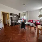 Rent 3 bedroom house of 100 m² in Pisa