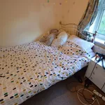 Rent 4 bedroom house in Winchester