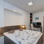 Rent 2 bedroom apartment of 57 m² in České Budějovice