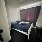 Rent 3 bedroom house in Christchurch