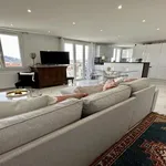 Rent 1 bedroom apartment in Cannes