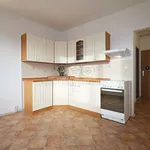 Rent 1 bedroom apartment of 40 m² in Loket