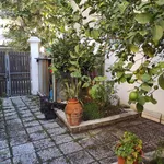 Rent 2 bedroom apartment of 35 m² in Ladispoli