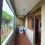 Rent 2 bedroom apartment of 60 m² in Siena