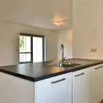 Rent 2 bedroom apartment in Laakdal