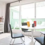 Rent 1 bedroom apartment of 76 m² in madrid