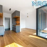 Rent 2 bedroom apartment in Capital City of Prague