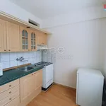 Rent 1 bedroom apartment in Ústí nad Labem