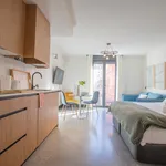 Rent 1 bedroom apartment of 30 m² in Madrid