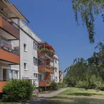 Rent 4 bedroom apartment of 60 m² in Dortmund