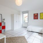 Louez une chambre de 101 m² à Lyon