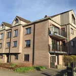 Rent 2 bedroom apartment in Sint-Pieters-Leeuw