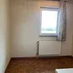 Rent 2 bedroom apartment in Genk