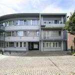 Rent 2 bedroom apartment in Halle