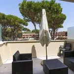 Rent 4 bedroom apartment of 75 m² in Grosseto