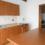 Rent 2 bedroom apartment of 40 m² in Pavia