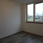 Huur 5 slaapkamer appartement van 136 m² in Montfort