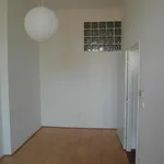 Rent 1 bedroom apartment of 33 m² in Brno